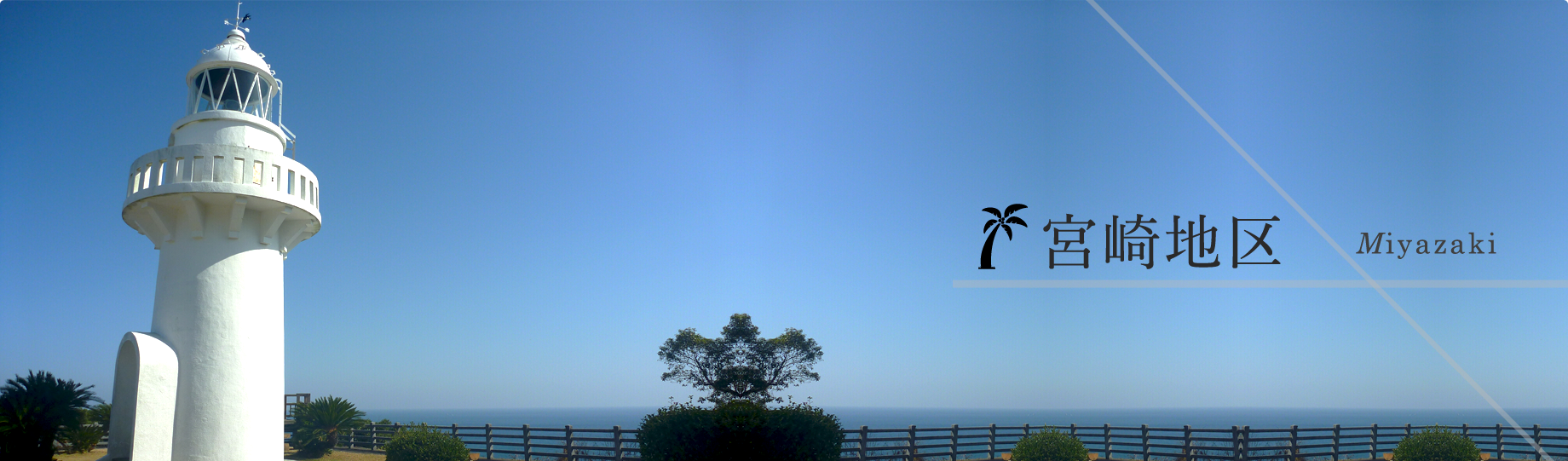 ttl_works_miyazaki