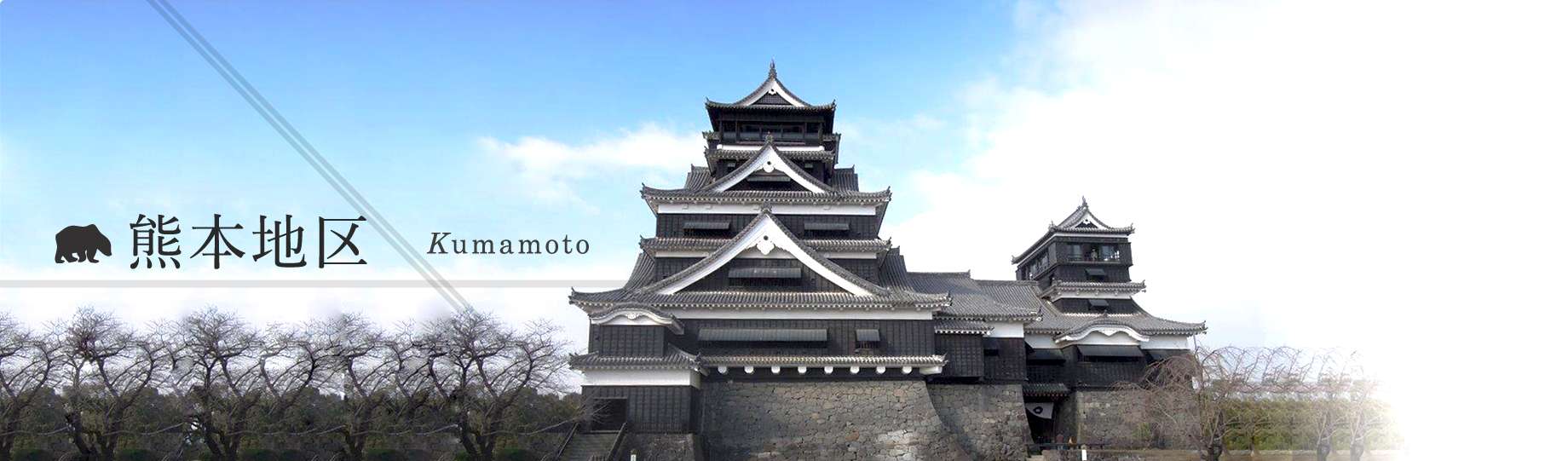 ttl_works_miyazaki