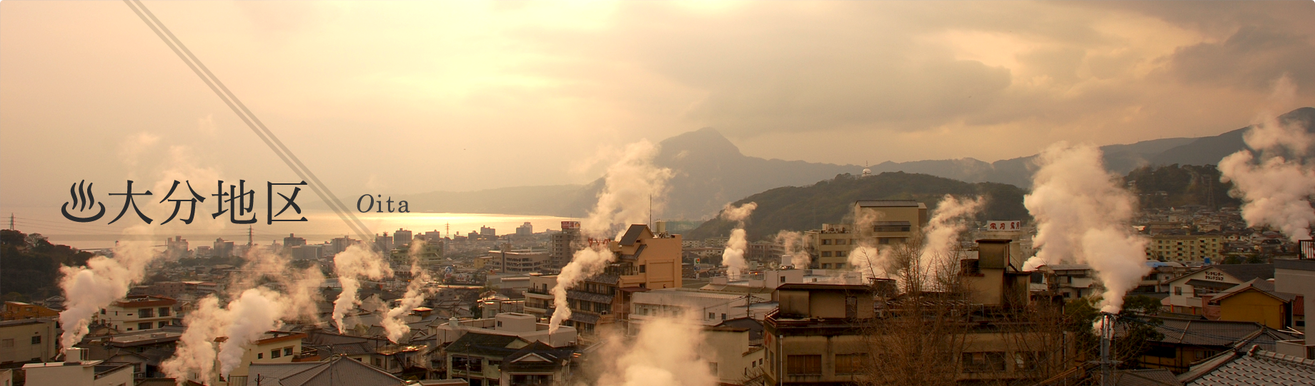 ttl_works_miyazaki
